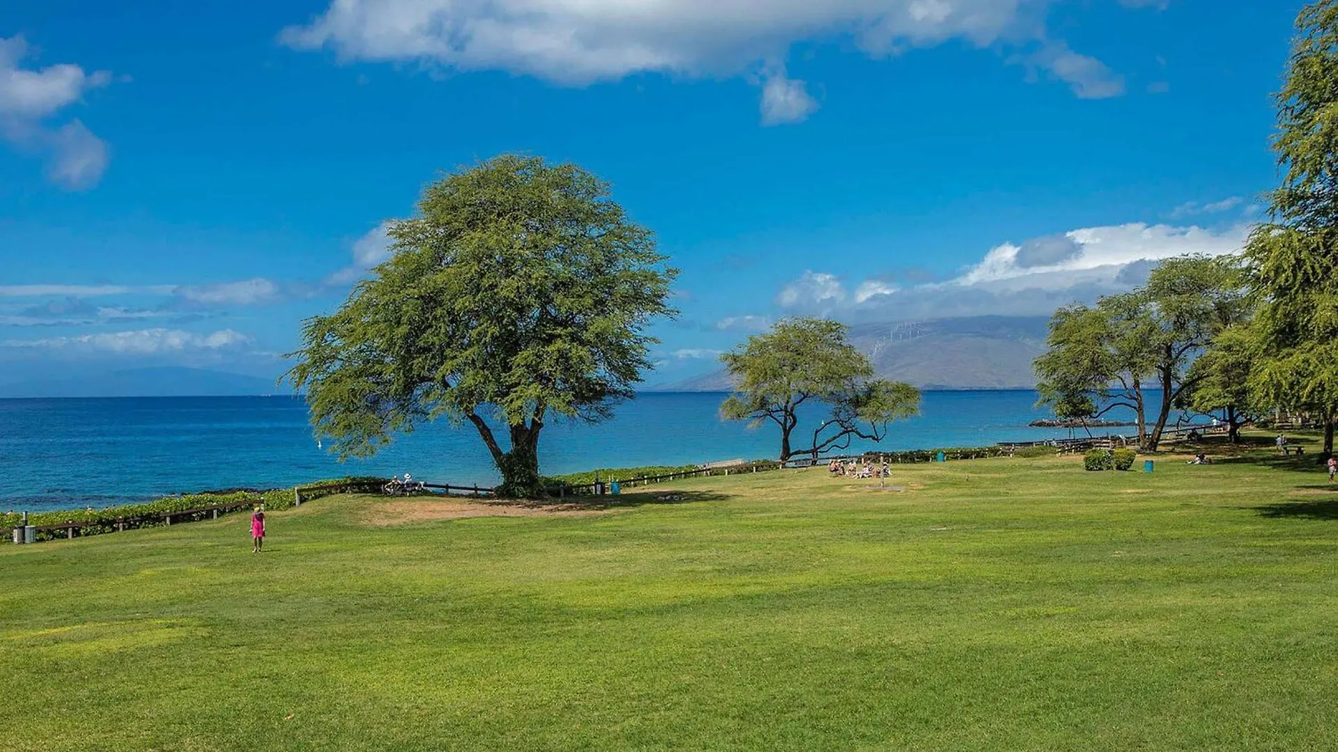 Kamaole Sands 3-308, Renovated, Large Lanai, Ac Wailea  USA
